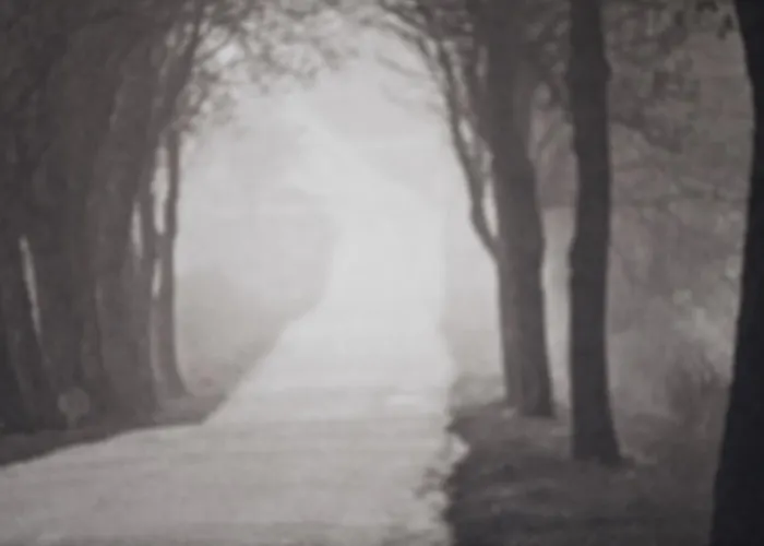 Apartment Apartament On Boulevard Gdynia